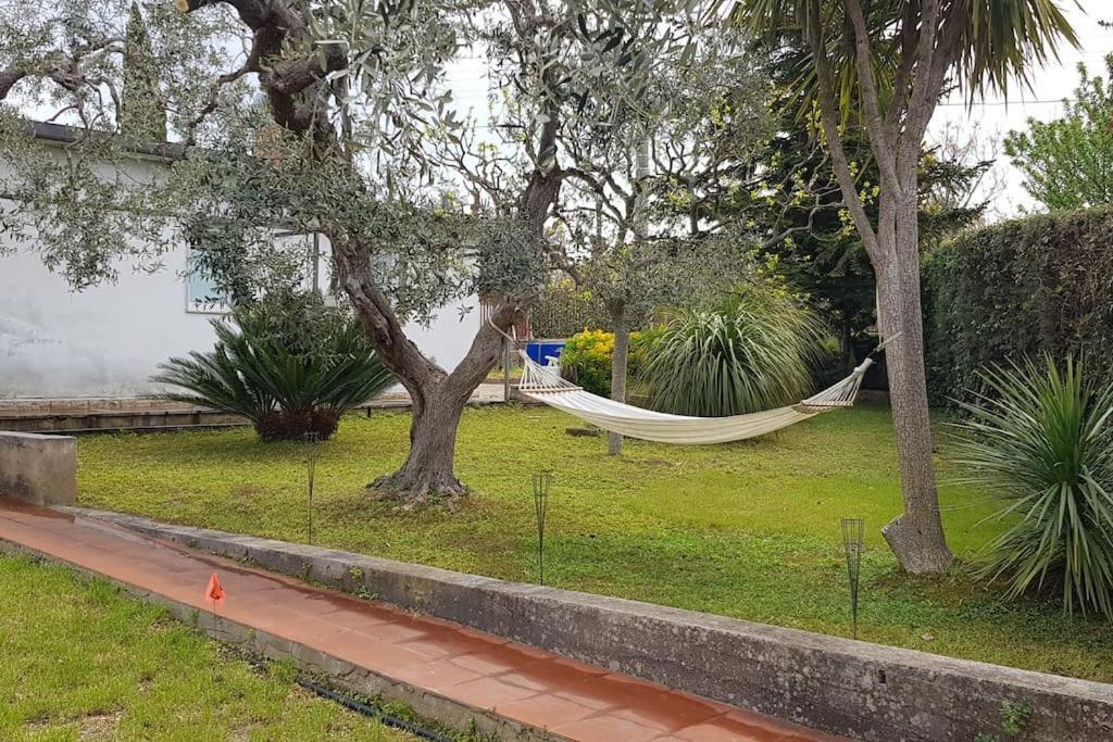 Countryhouse Gli Ulivi Modugno Exterior photo